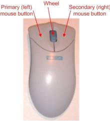 mouse